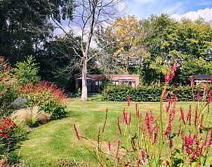 Bloemrijke tuin bij Huisje in Elim, bed and breakfast in Elim, Zuidwest Drenthe, met kleurrijke bloemen.