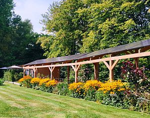 Prachtige bloementuin van Huisje in Elim, vakantiehuis in Elim, Zuidwest Drenthe, in volle bloei.
