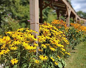 Zonnige tuin van Huisje in Elim, bed and breakfast in Elim, Zuidwest Drenthe, met veel ruimte en natuur.