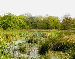 Natuurrijke omgeving van Huisje in Elim, bed and breakfast in Elim, Zuidwest Drenthe, met moerassige landschappen.