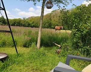 Guest house 202510 - Holiday property Zuidwest Drenthe - Vakantiehuis in Elim