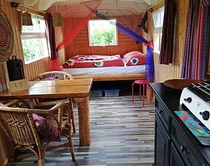 Unterkunft 202514 - Ferienhaus Zuidwest Drenthe - Vakantiehuis in Elim