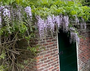 Guest house 202517 - Holiday property Zuidwest Drenthe - Huisje in Elim
