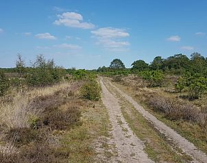 Malerischer Weg durch die Heide in der Nhe des Ferienhauses in Tiendeveen, Drenthe mit blauem Himmel.