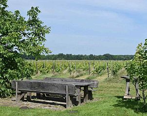 Guest house 202809 - Holiday property Zuidwest Drenthe - DG257