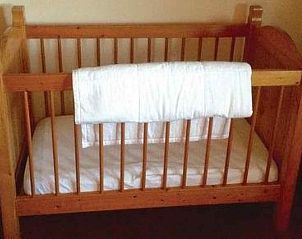 Guest house 202810 - Holiday property Zuidwest Drenthe - DG048