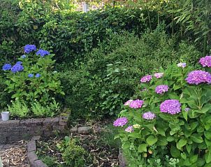 Unterkunft 202814 - Ferienhaus Zuidwest Drenthe - Vakantiehuis Ferienvilla mit Sauna und Whirlpool