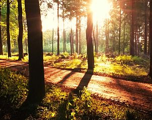 Guest house 203304 - Holiday property Zuidwest Drenthe - Vakantiehuisje in Veeningen