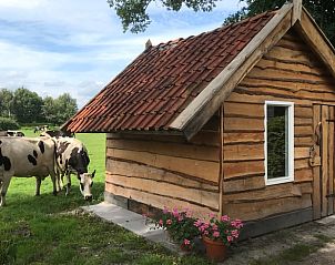Guest house 203308 - Holiday property Zuidwest Drenthe - Huisje in Veeningen