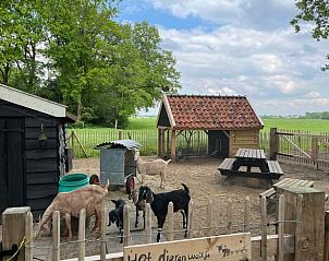 Guest house 203308 - Holiday property Zuidwest Drenthe - Huisje in Veeningen