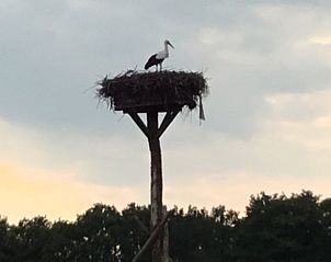 Guest house 203308 - Holiday property Zuidwest Drenthe - Huisje in Veeningen