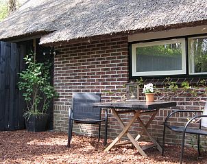 Guest house 203309 - Holiday property Zuidwest Drenthe - Huisje in Veeningen