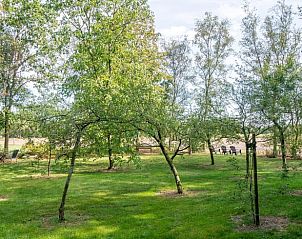 Guest house 203309 - Holiday property Zuidwest Drenthe - Huisje in Veeningen