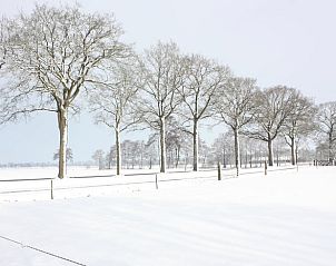 Guest house 203309 - Holiday property Zuidwest Drenthe - Huisje in Veeningen