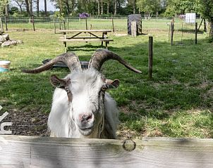 Guest house 203403 - Holiday property Zuidwest Drenthe - DG062