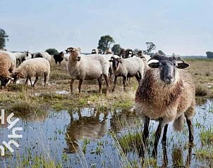 Guest house 203404 - Holiday property Zuidwest Drenthe - DG061