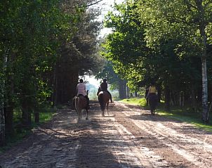 Unterkunft 203802 - Ferienhaus Zuidwest Drenthe - Huisje in Dwingeloo / Lhee