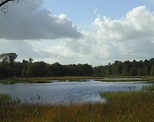 Unterkunft 203802 - Ferienhaus Zuidwest Drenthe - Huisje in Dwingeloo / Lhee