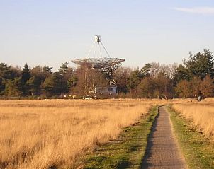 Unterkunft 203802 - Ferienhaus Zuidwest Drenthe - Huisje in Dwingeloo / Lhee
