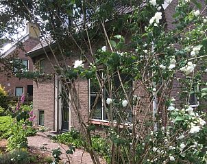 Unterkunft 203802 - Ferienhaus Zuidwest Drenthe - Huisje in Dwingeloo / Lhee