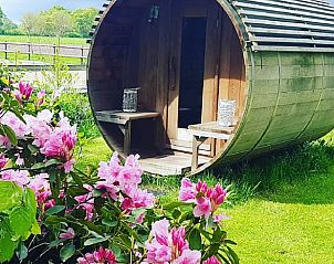 Sfeervolle omgeving van Huisje in Dieverbrug in Zuidwest Drenthe met kunst en natuur aan het water.