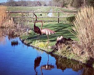 Winterse charme van Huisje in Dieverbrug in Zuidwest Drenthe, omringd door een besneeuwd landschap.