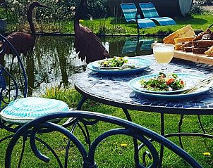 Grote tuin met vijver bij Huisje in Dieverbrug, Zuidwest Drenthe, ideaal voor buitenactiviteiten.