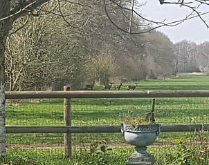 Prachtig uitzicht op de natuur vanuit Vakantiehuisje in Dieverbrug, Drenthe.