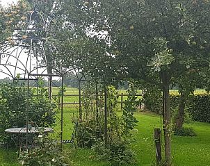 Romantische tuin met zitje in Vakantiehuisje in Dieverbrug, Zuidwest Drenthe.