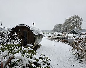 Ontspan in de natuurlijke omgeving van vakantiehuis DG2027 in Dieverbrug, Drenthe, met een prachtig uitzicht op de tuin en een rustieke sauna.