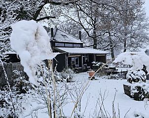 Vakantiehuis DG2027 in Dieverbrug, Zuidwest Drenthe, omgeven door natuur met kunstige metalen vogels in de tuin.