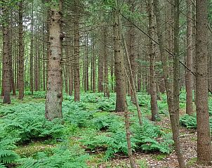 Verblijf 203906 - Vakantiewoning Zuidwest Drenthe - DG2026