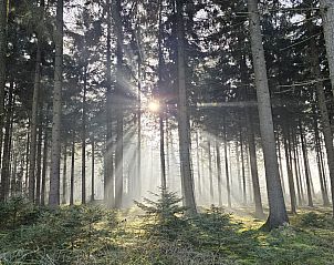 Verblijf 203906 - Vakantiewoning Zuidwest Drenthe - DG2026