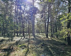 Verblijf 203906 - Vakantiewoning Zuidwest Drenthe - DG2026