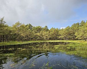 Verblijf 203906 - Vakantiewoning Zuidwest Drenthe - DG2026