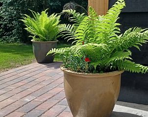 Unterkunft 204007 - Ferienhaus Zuidwest Drenthe - Vakantiehuis in Oude Willem