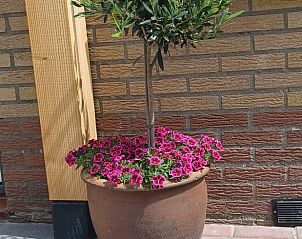 Unterkunft 204007 - Ferienhaus Zuidwest Drenthe - Vakantiehuis in Oude Willem