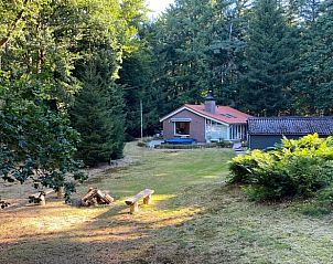 Unterkunft 204009 - Ferienhaus Zuidwest Drenthe - Vakantiehuis in Oude Willem
