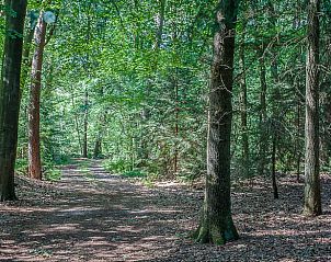 Unterkunft 204011 - Ferienhaus Zuidwest Drenthe - Huisje in Oude Willem
