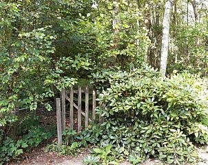 Verblijf 204012 - Vakantiewoning Zuidwest Drenthe - Vakantiehuisje in Oude Willem