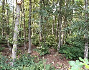 Verblijf 204012 - Vakantiewoning Zuidwest Drenthe - Vakantiehuisje in Oude Willem