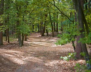 Unterkunft 204015 - Ferienhaus Zuidwest Drenthe - Huisje in Oude Willem