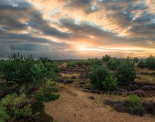 Unterkunft 204026 - Ferienhaus Zuidwest Drenthe - Huisje in Oude Willem