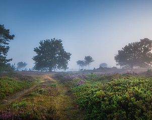Unterkunft 204026 - Ferienhaus Zuidwest Drenthe - Huisje in Oude Willem