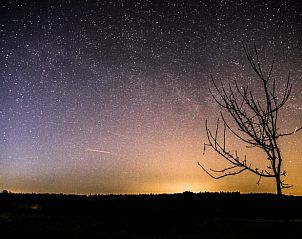 Unterkunft 204026 - Ferienhaus Zuidwest Drenthe - Huisje in Oude Willem