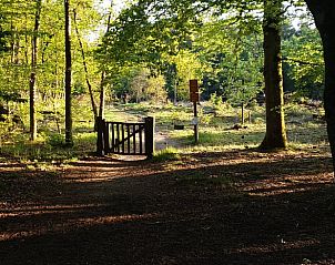 Unterkunft 204029 - Ferienhaus Zuidwest Drenthe - Vakantiehuisje in Oude Willem