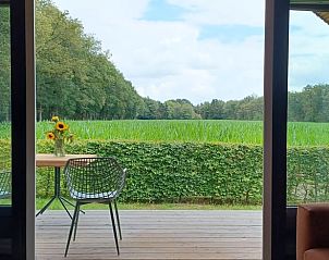 Guest house 204113 - Holiday property Zuidwest Drenthe - Huisje in Hollandscheveld