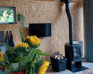 Guest house 204113 - Holiday property Zuidwest Drenthe - Huisje in Hollandscheveld