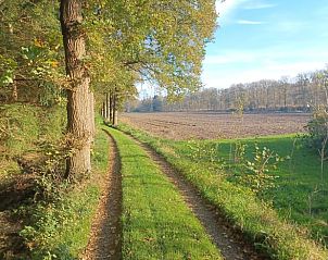 Guest house 204113 - Holiday property Zuidwest Drenthe - Huisje in Hollandscheveld