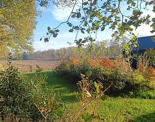 Guest house 204113 - Holiday property Zuidwest Drenthe - Huisje in Hollandscheveld